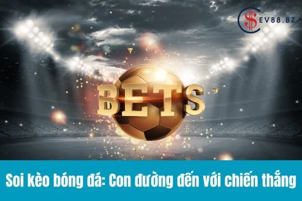 Soi Kèo Bóng Đá