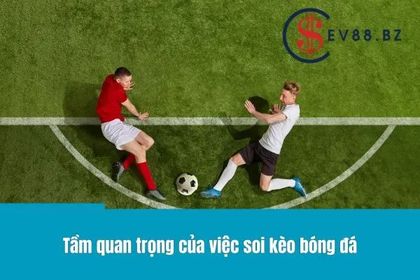 Soi kèo bóng đá